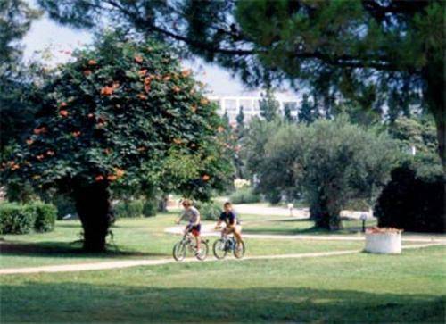 Gerakina Beach Hotel Chalkidiki Exterior foto